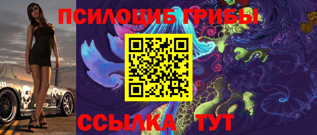 Кохма  Галлюциногенные грибы мицелий  Вход с VPN 
